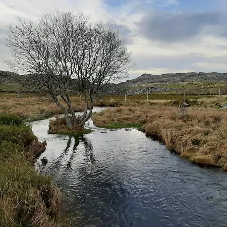 Alegria * Арока
