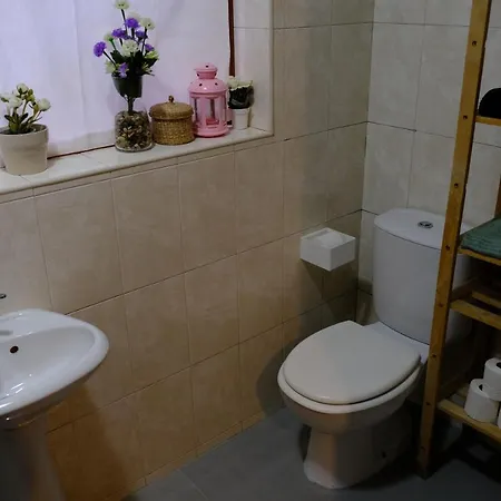 Apartment Alegria Arouca